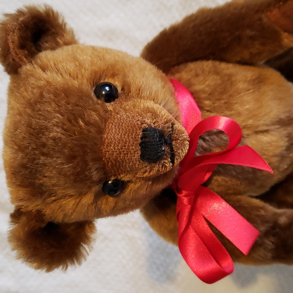 Luke bear - Picture 2 of 3